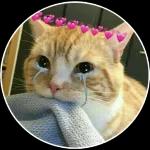 Te amo Gracias por tenerme paciencia