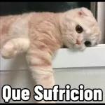 oye estas hay