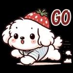 瑪爾濟斯小狗托比的美好生活，日常用語篇