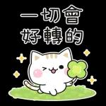 善解人意的小貓貓