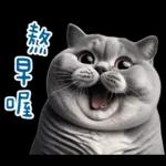 起肖貓貓★台語卡唬爛!
