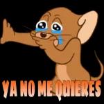TU SI QUE SABES SOCIO