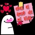 Flork 🔴 Amor