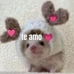 Te amo