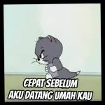 10.31