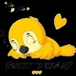 Good Night
Sweet Dreams