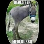 nunca te viste aos tombos