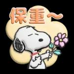 【中文】Snoopy♡立體貼圖