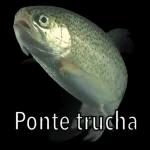 graciosas pegatinas