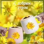 для настроения 🍁🍁💖