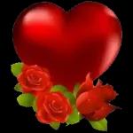 naseer