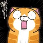 白爛貓53☆超靠北☆