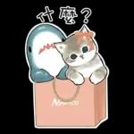 鯊魚貓咪 2