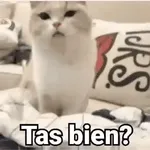 Enterada 