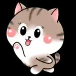 Cats! For reply