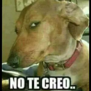 No te creo. - getsticker.com