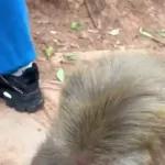 STAR WARS A NEW HOPE