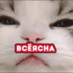 Сама придумала, сама обиделась