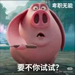 哪吒風火輪飛天豬