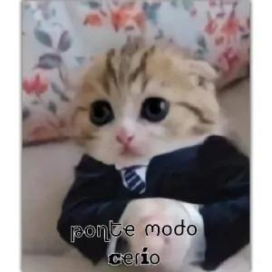Z8p7M0
