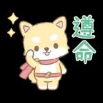 PEKO醬☆冬季繽紛