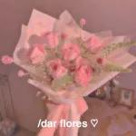 rosas 