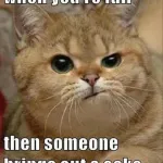 Funny things like this