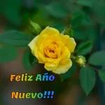 nuevo año
