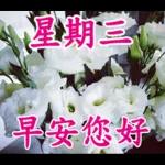 不要發送早上的圖片