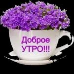 Доброе утро