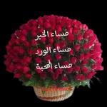 ملصقات 