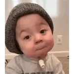 jaja