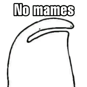 bnmsr5e