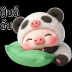 หมูแพนด้าน่ารักจังเลย
