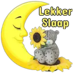 lief jou