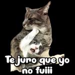 Quieres tú
estate quieto
