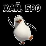 добрый день