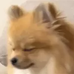 uihbb