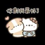 Hello Kitty 50週年 x 天竺鼠布丁 溫暖日常