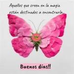 buenos días