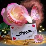 مساء الورد