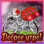 Озорница какая