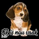 Jy is 'n Konings Kind