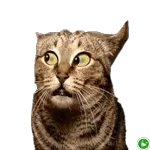 Ein liebes Küsschen für Dich