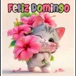 feliz domingo 