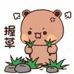 多休息，好好照顧身體