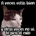 Escucho. pero no entiendo