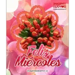 feliz miercoles