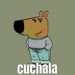 RARO