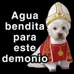 tengo ganas de 